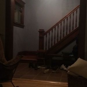 Meet your Posher, Greta